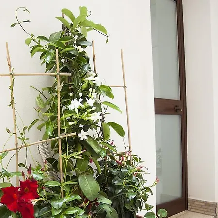 Apartment Primo Piano Settembrini Locazione Turistica *